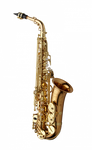 Yanagisawa A-WO20 Alto sax
